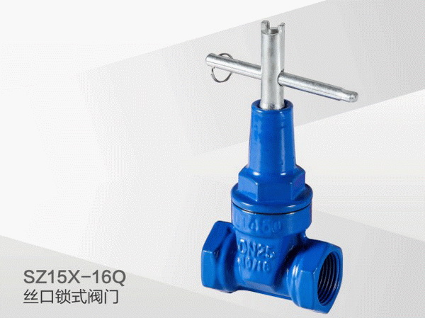 ����ϵ��