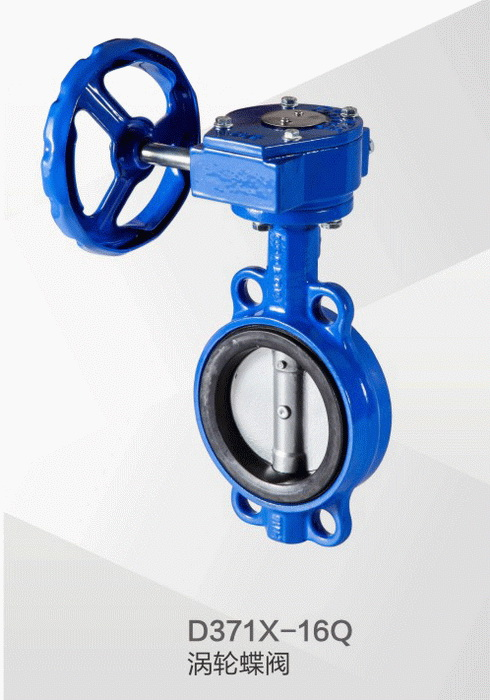 ����ϵ��