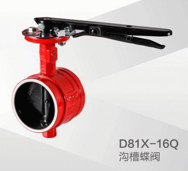 ����ϵ��